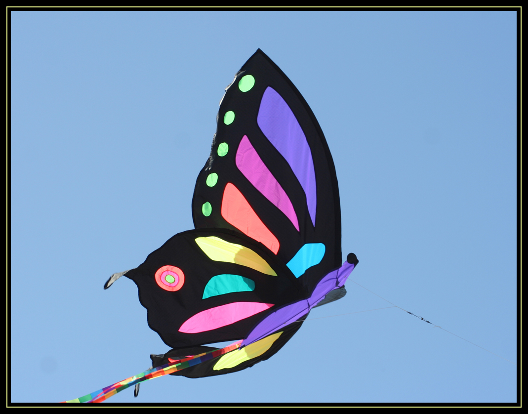 Washington State International Kite Festival 2010