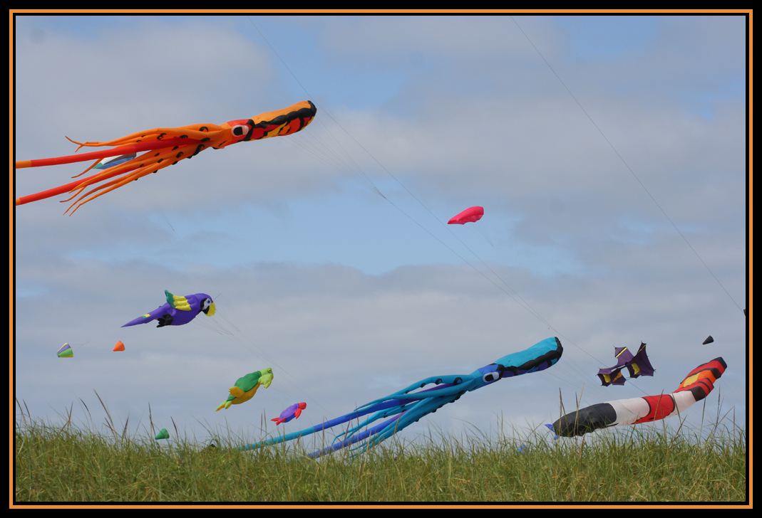 Washington State International Kite Festival 2010