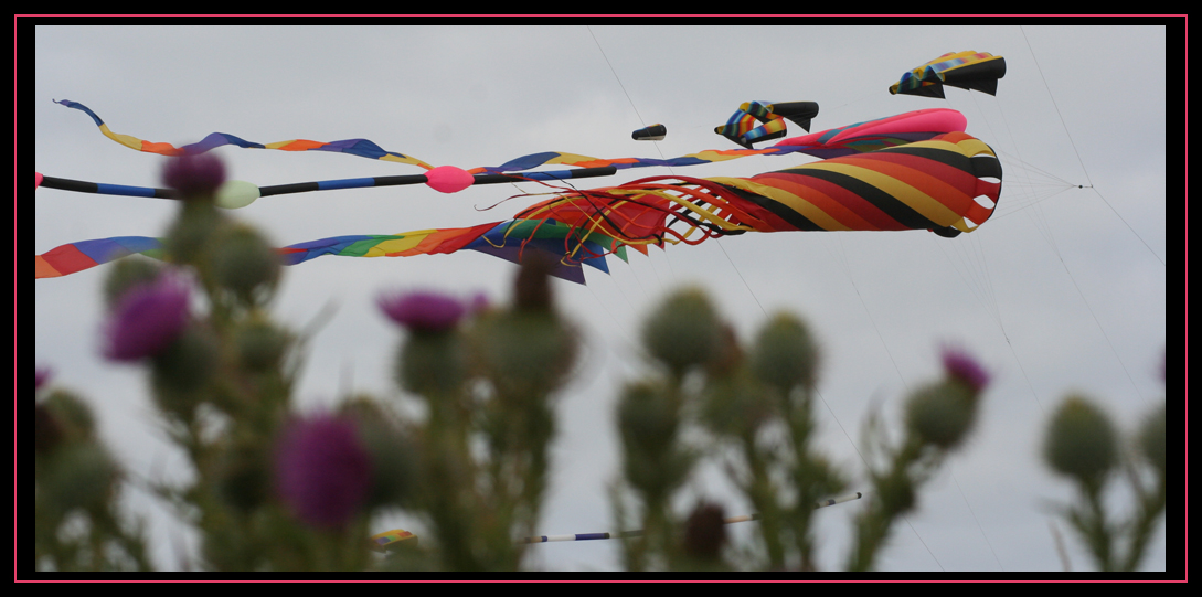 Washington State International Kite Festival 2010
