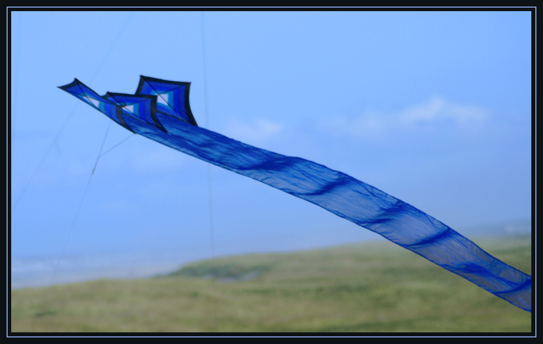 Washington State International Kite Festival 2010