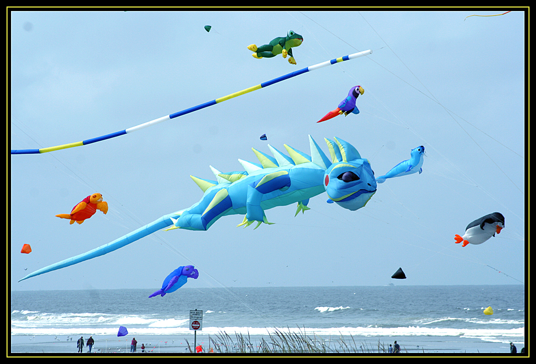 Washington State International Kite Festival 2010