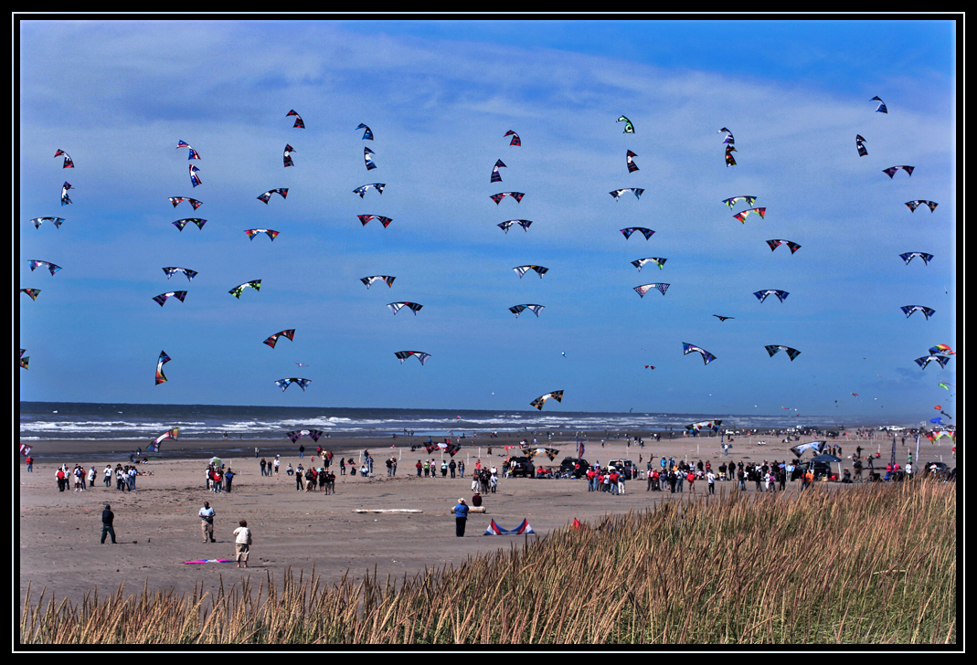 Washington State International Kite Festival 2010