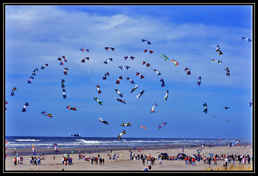Washington State International Kite Festival 2010
