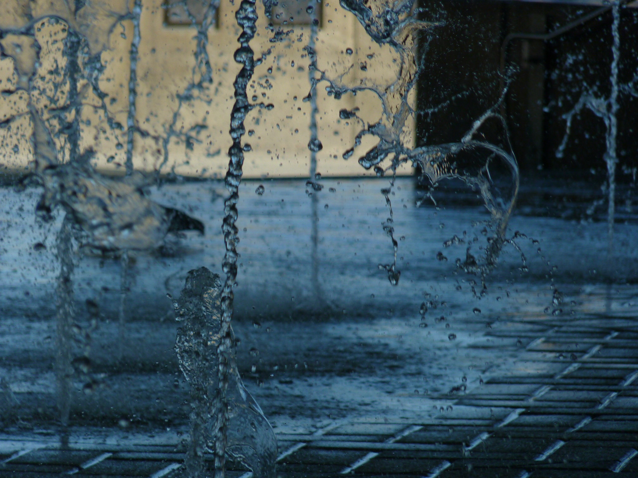 Water