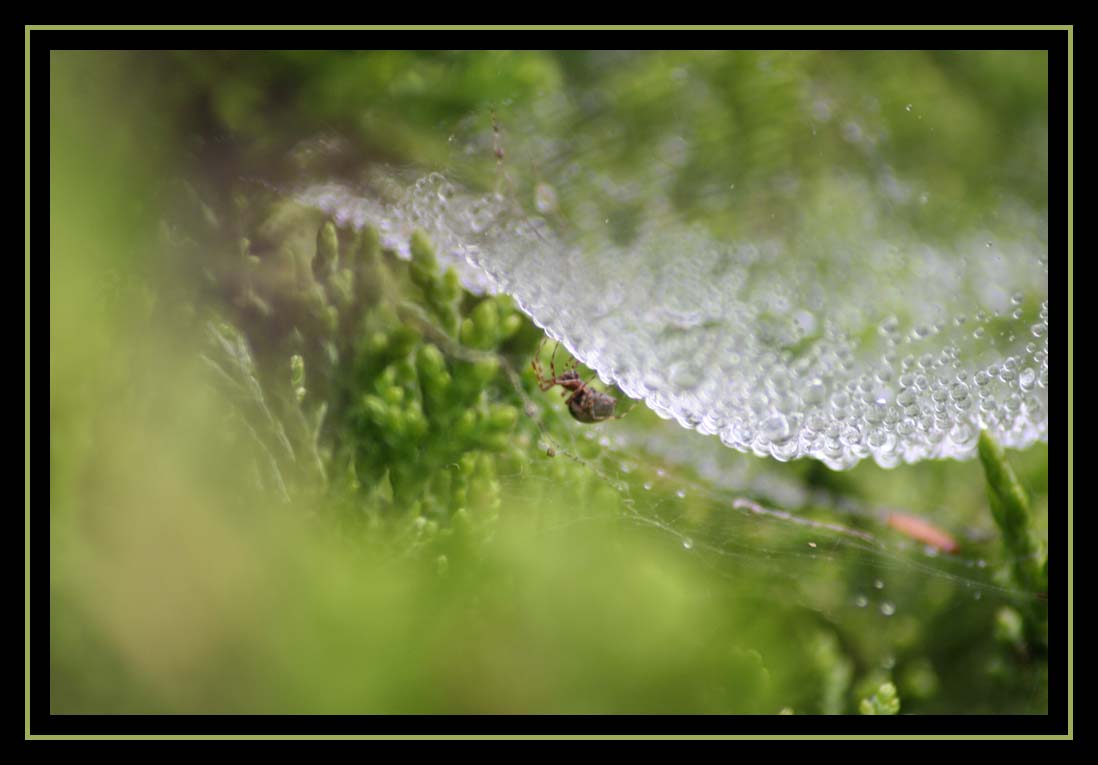 Water_World