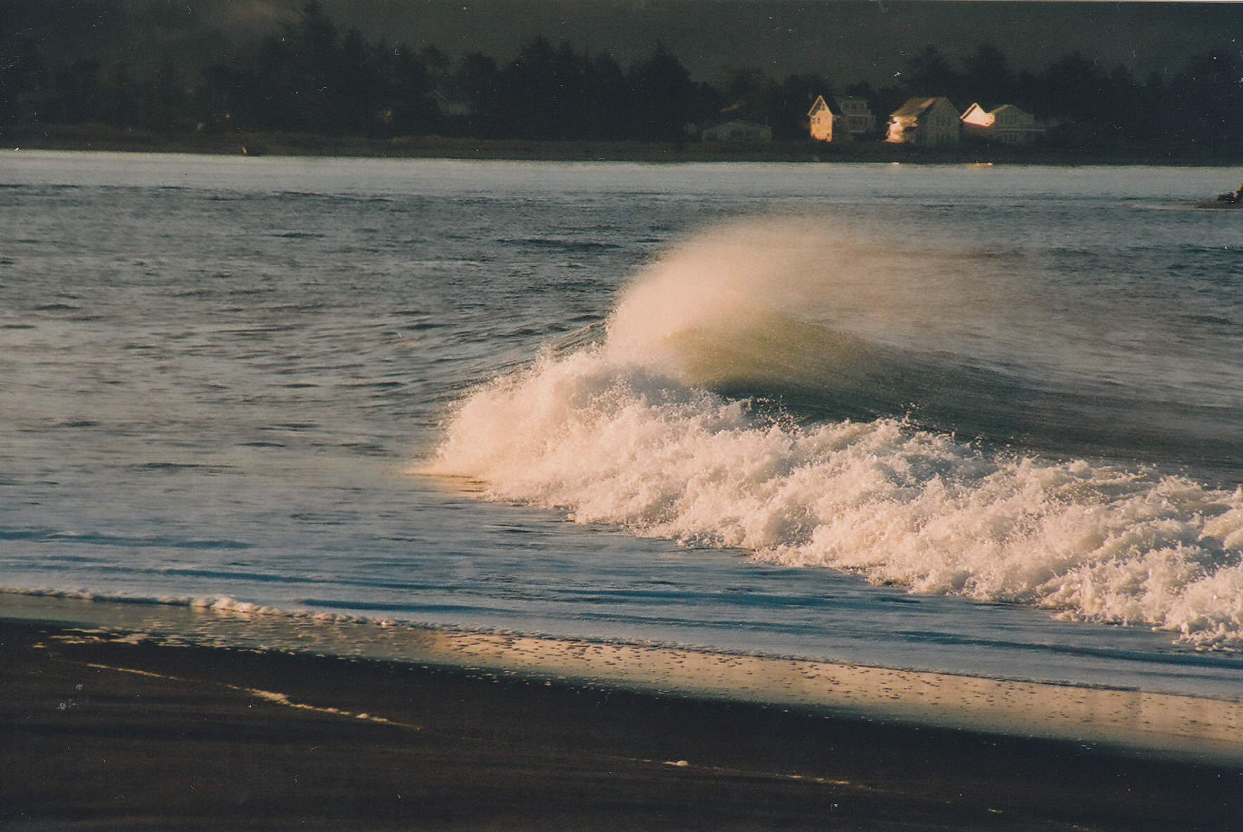 Wave