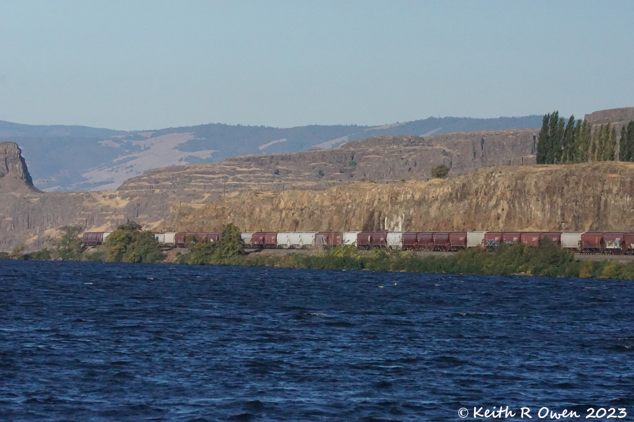Westbound BNSF Grain Train