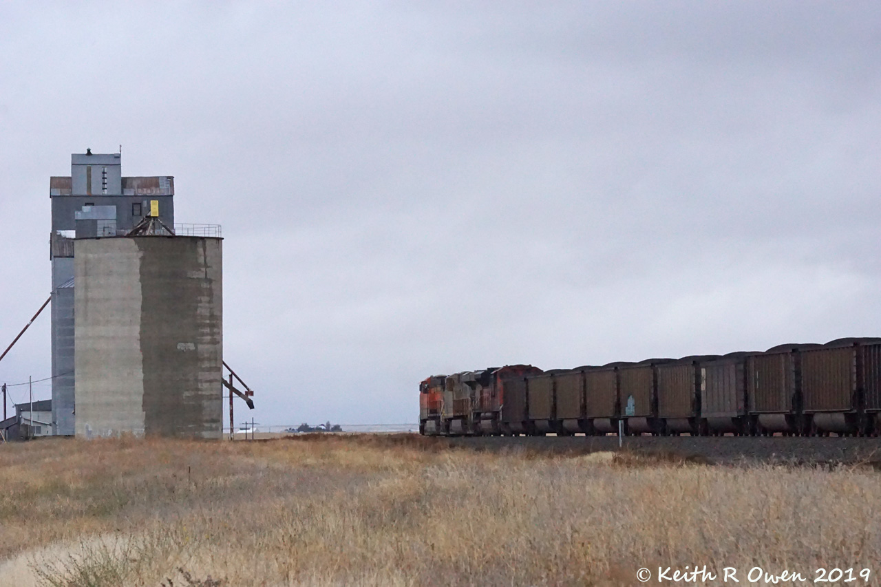 Westbound Coal Train