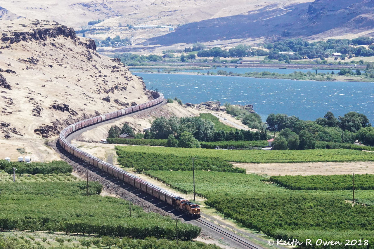 Westbound Grain