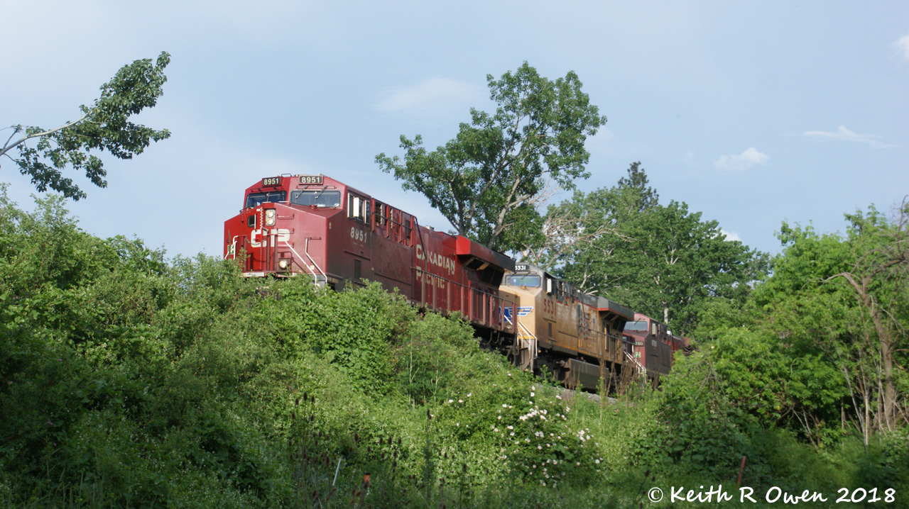 Westbound UP/CP Grain Train