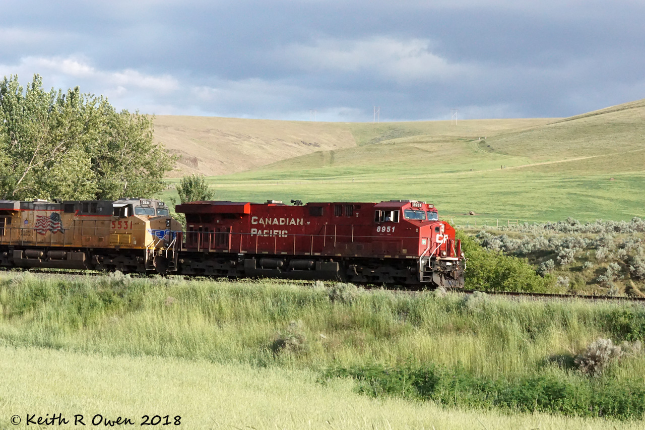 Westbound UP/CP Grain Train