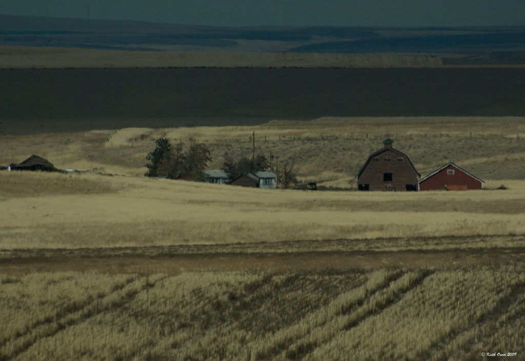 Wheat Ranch