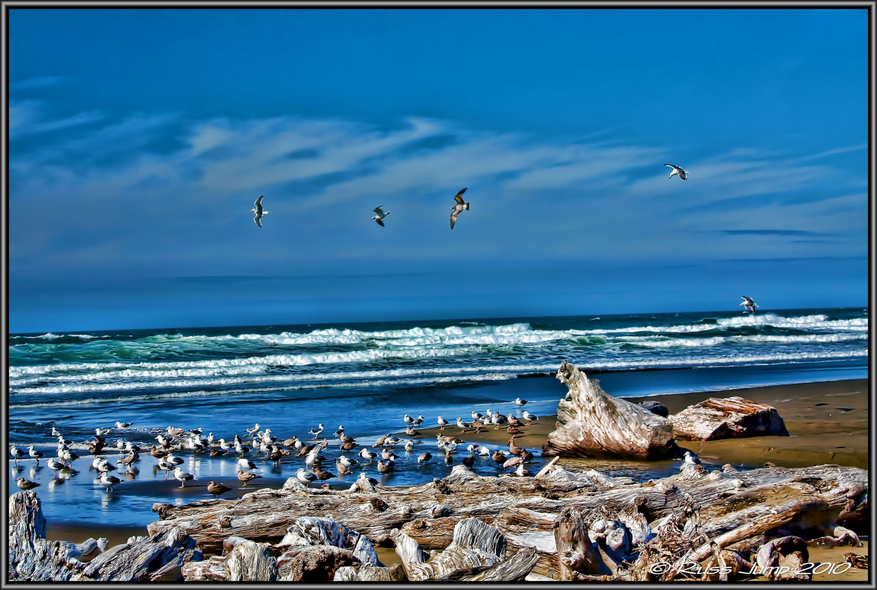 Whisky Run Beach
