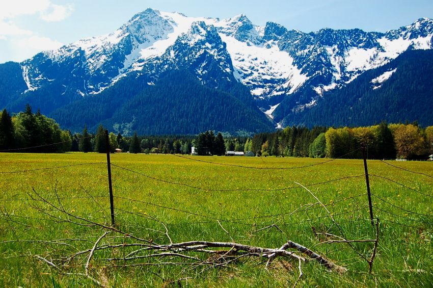 Whitehorse Mtns.