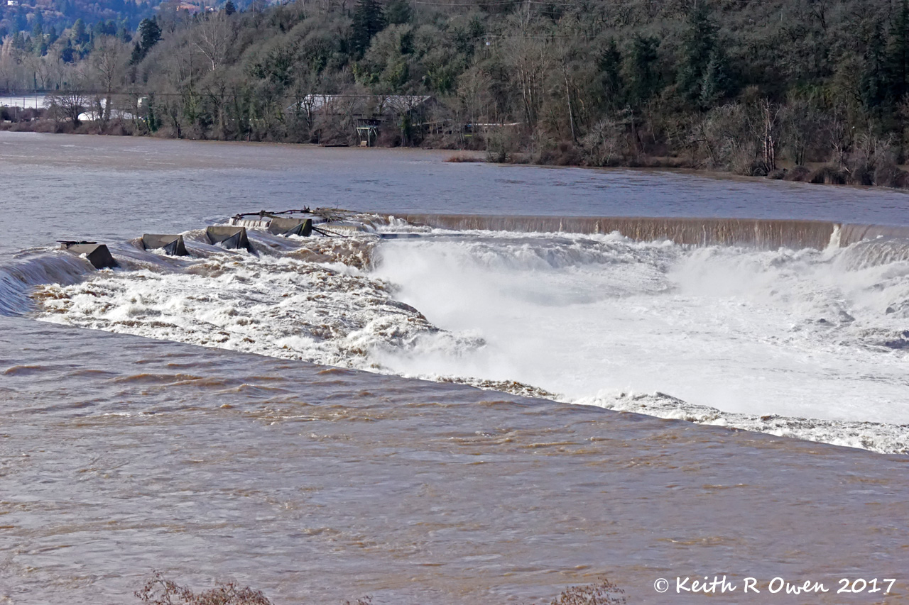 Willamette Falls