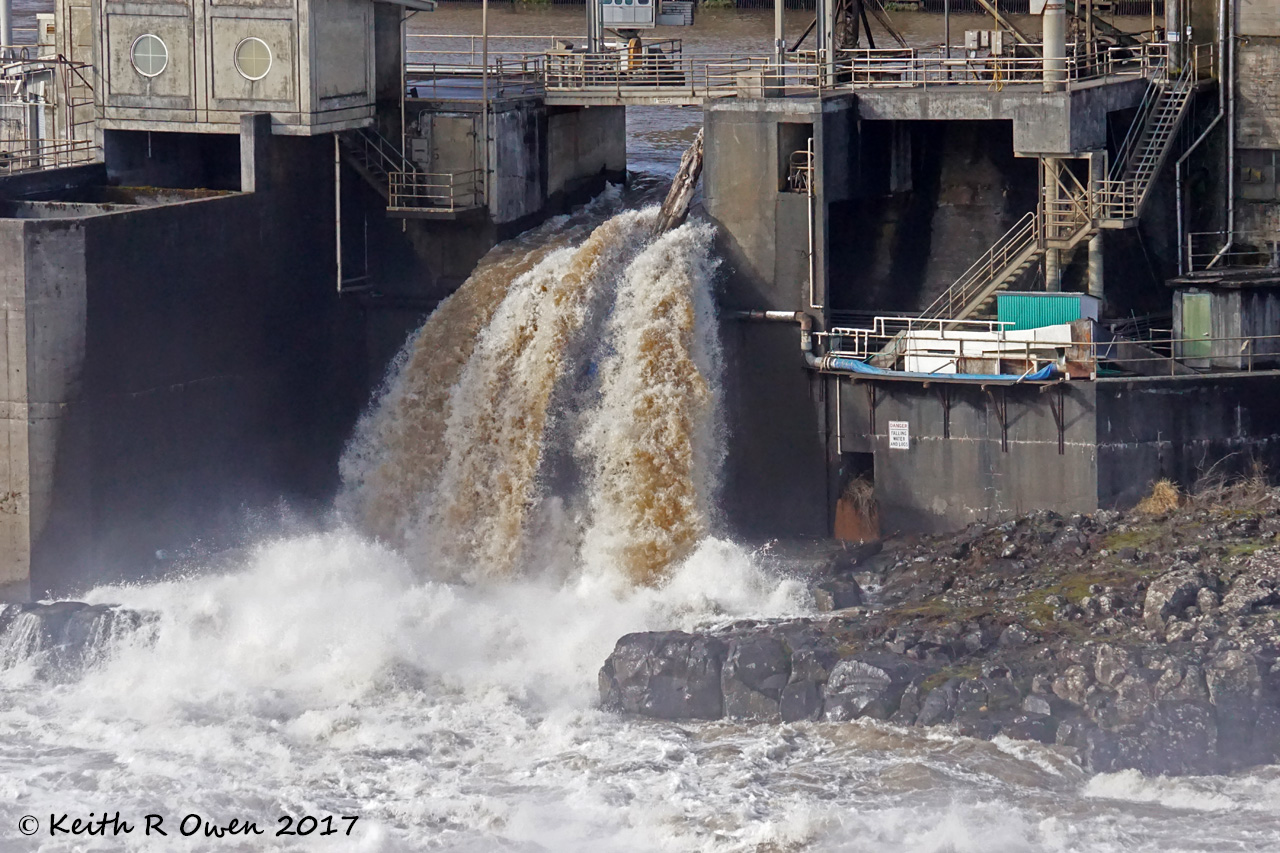 Willamette Falls
