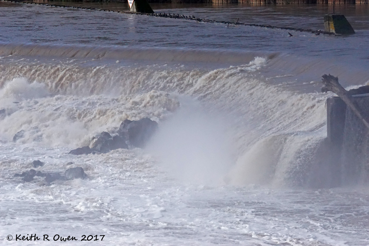 Willamette Falls