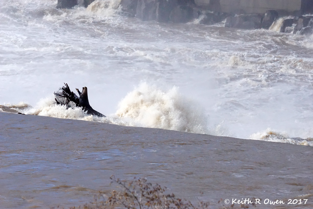 Willamette Falls