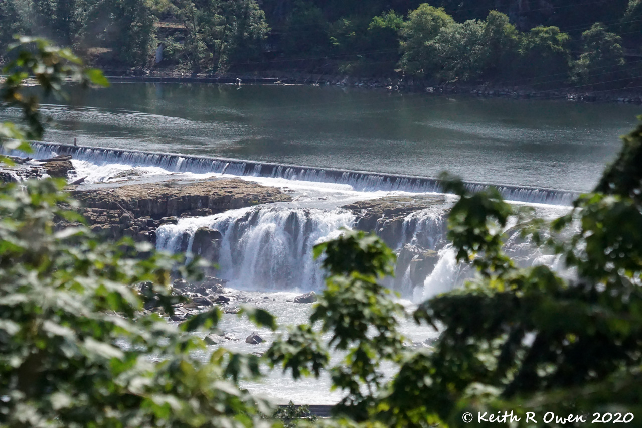 Willamette Falls