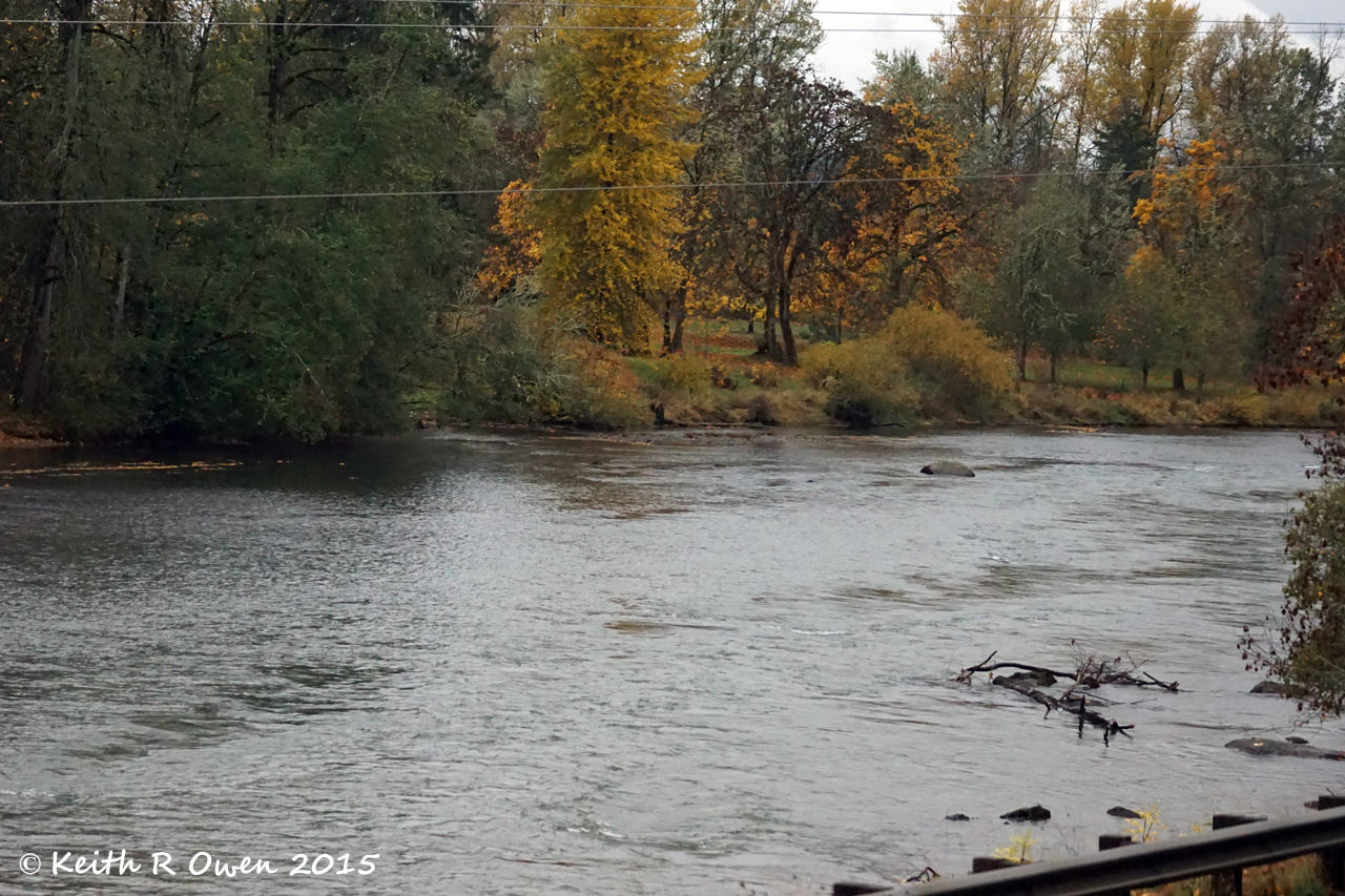 Willamette River