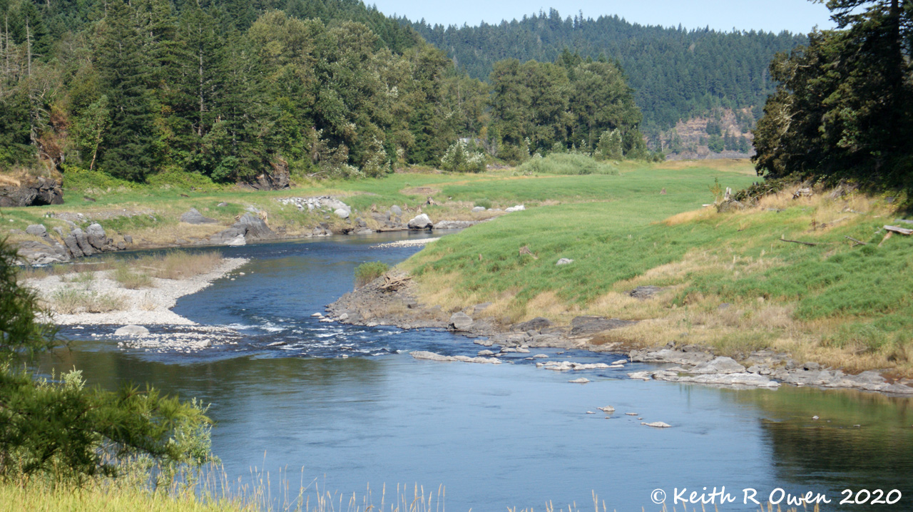 Willamette River