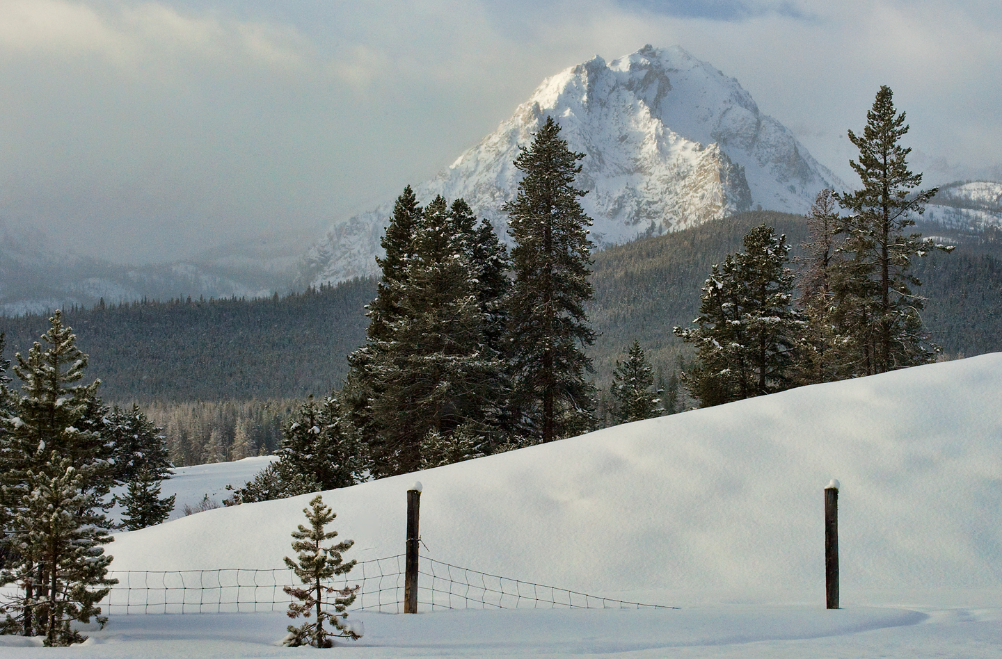 Williams Peak