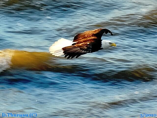 wind surfing