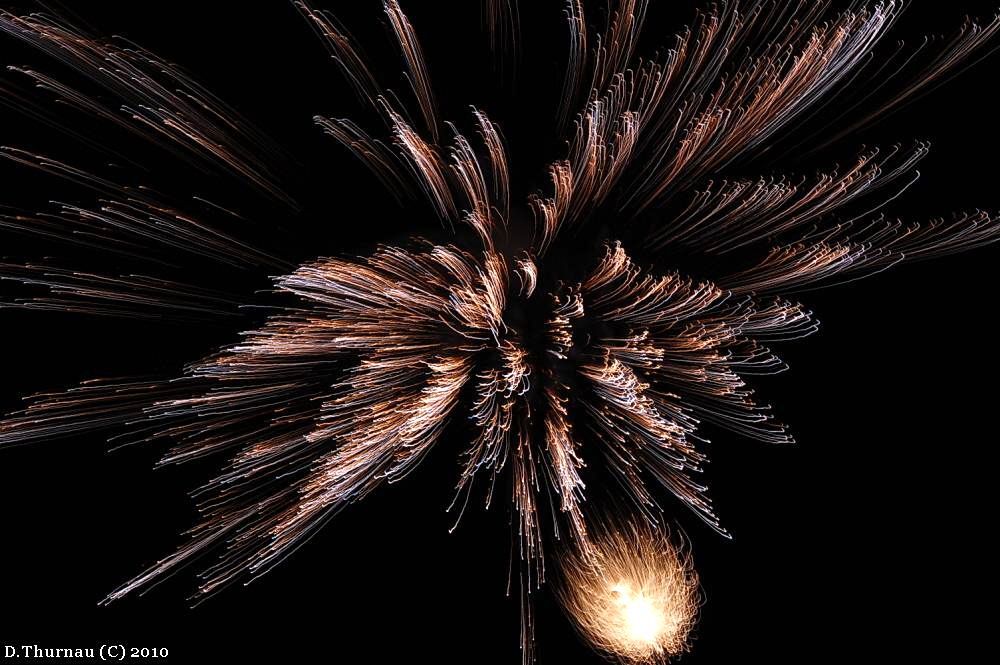windblown tumble weed