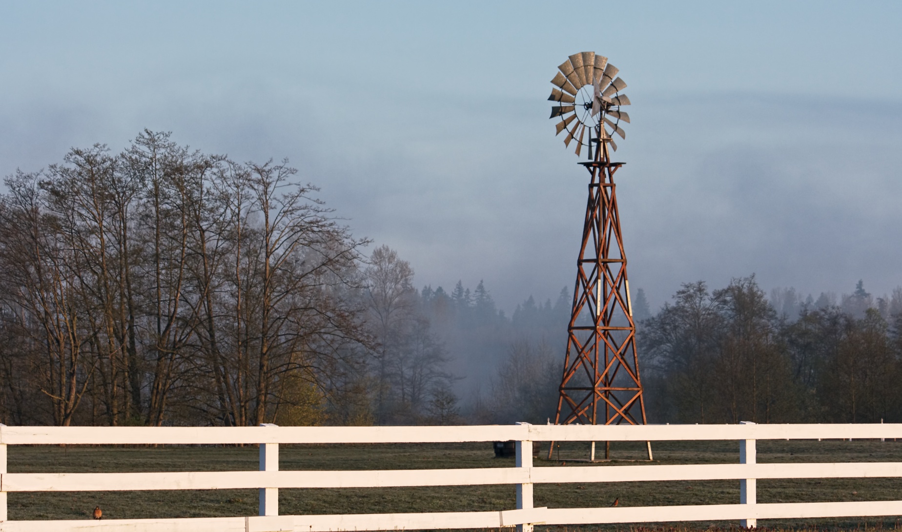 Windmill