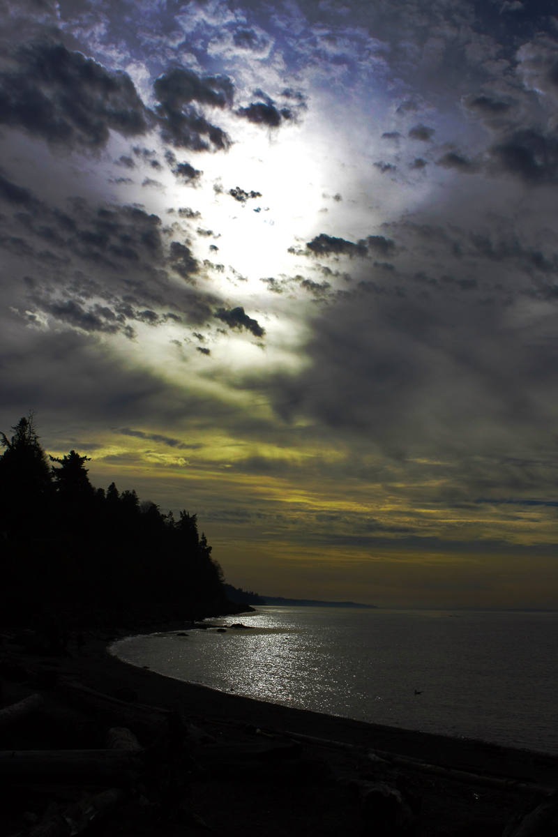 Winter Daylight Silhouette