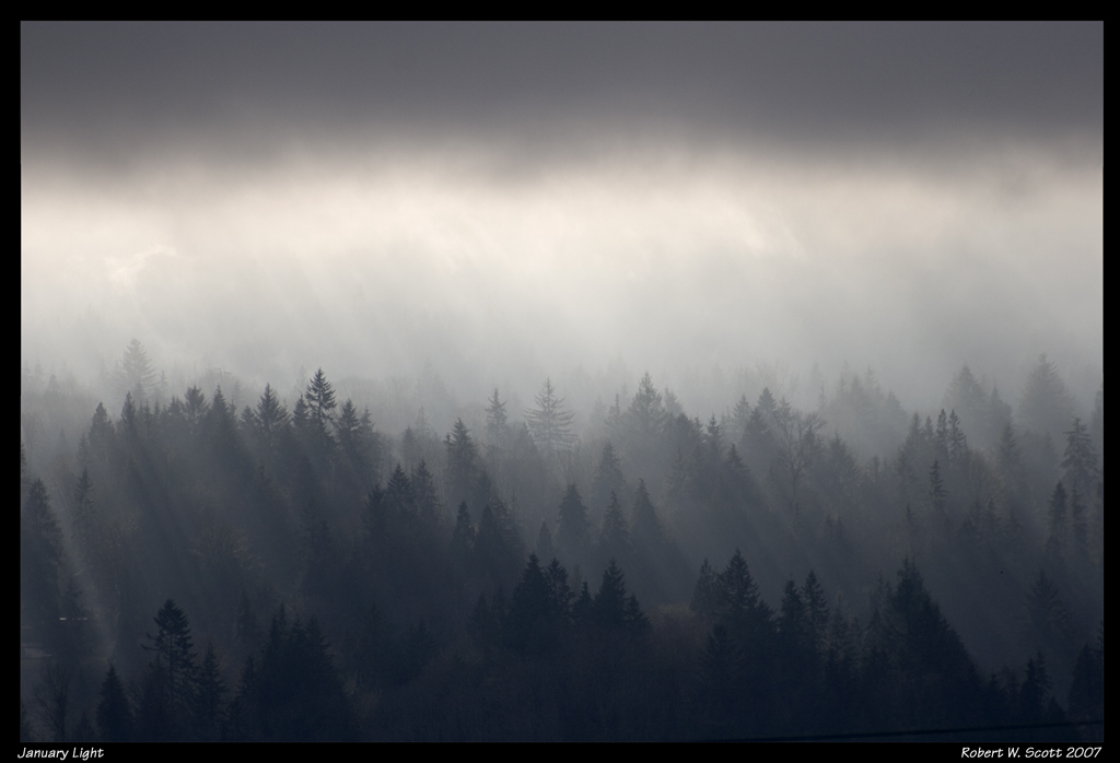 Winter Light