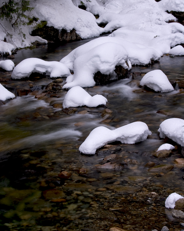 Winter Refreshment