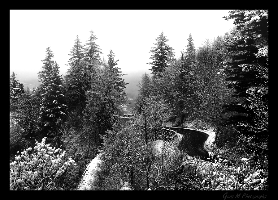 Winter Snow - Landscape