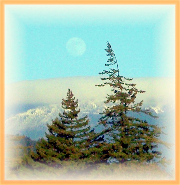 Winters Day