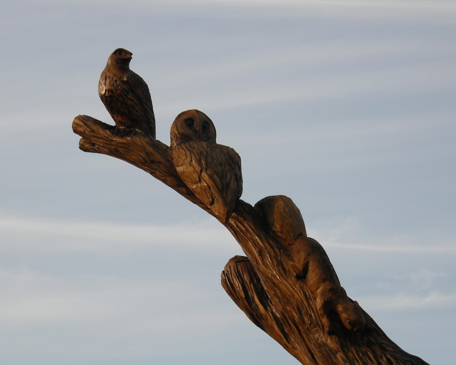 Wooden Bird Carving