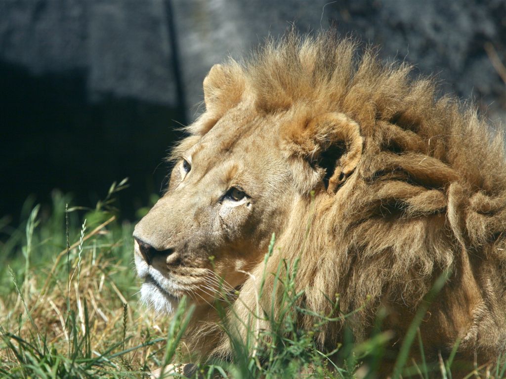 Woodland Park Zoo