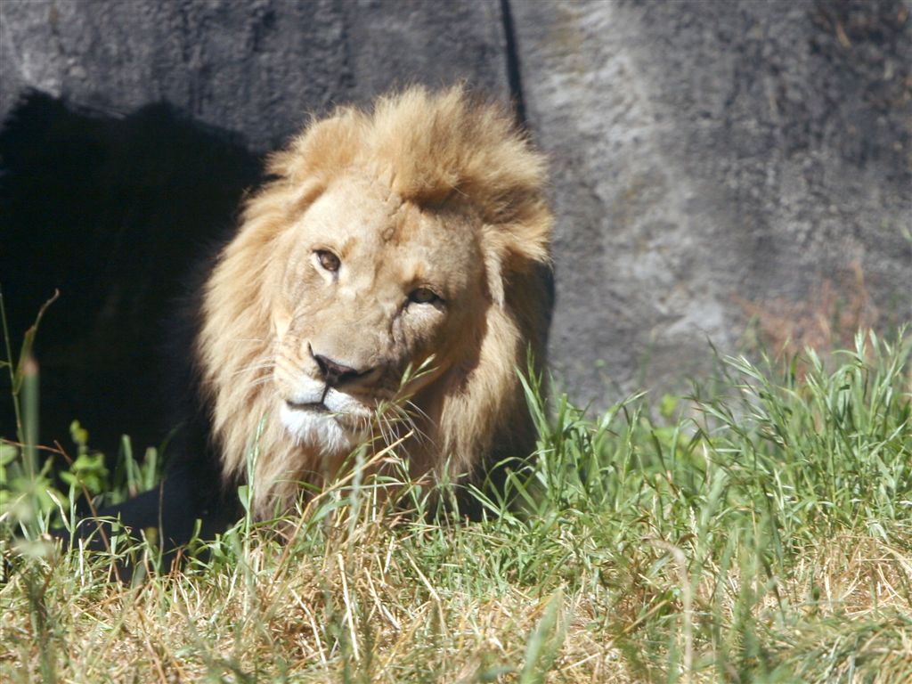 Woodland Park Zoo