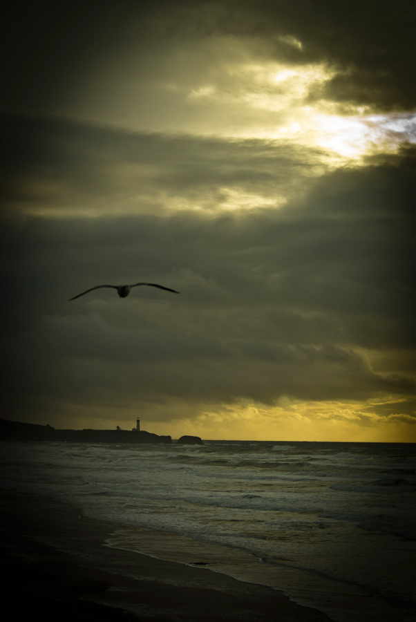 Yaquina Head Lighthouse