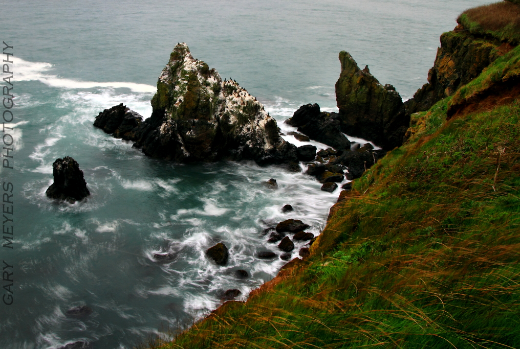 Yaquina Head