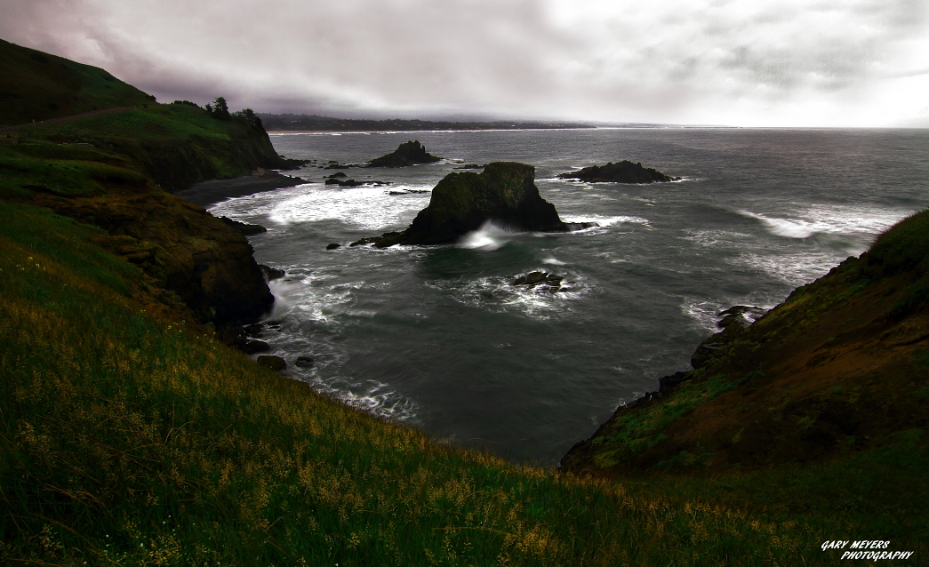 Yaquina Head