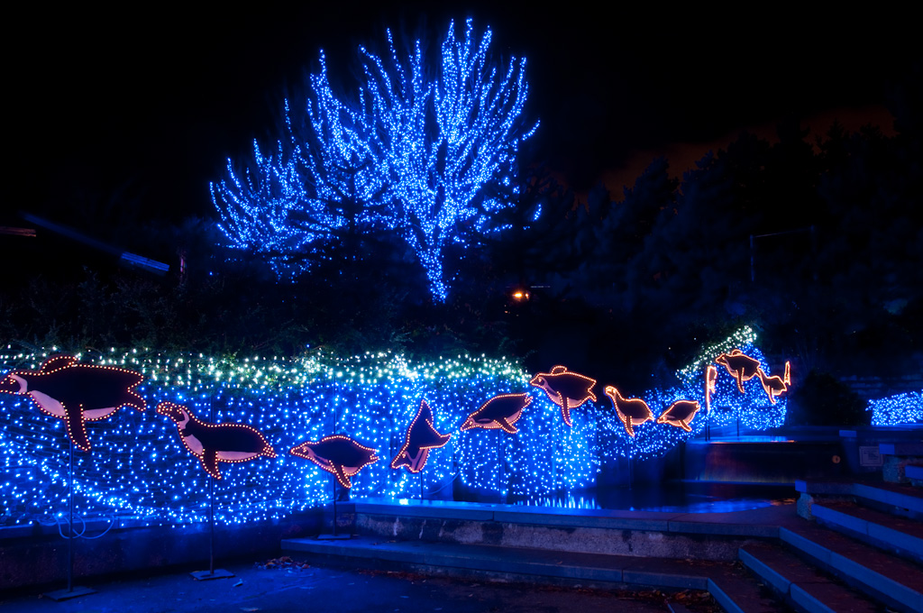 Zoolights 2009 at the Oregon Zoo