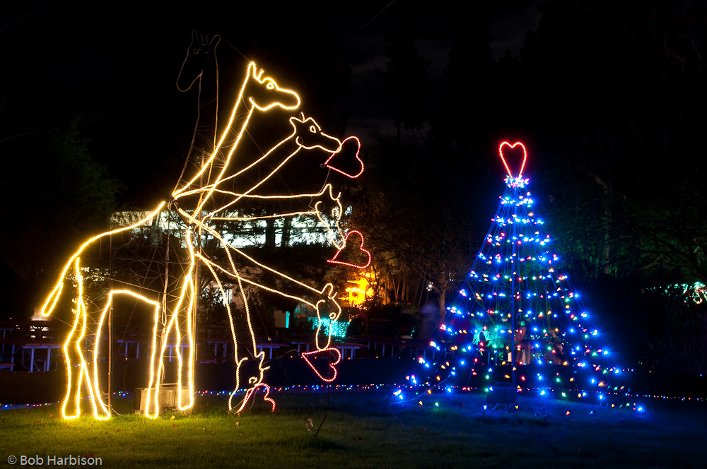 Zoolights 2009 at the Oregon Zoo