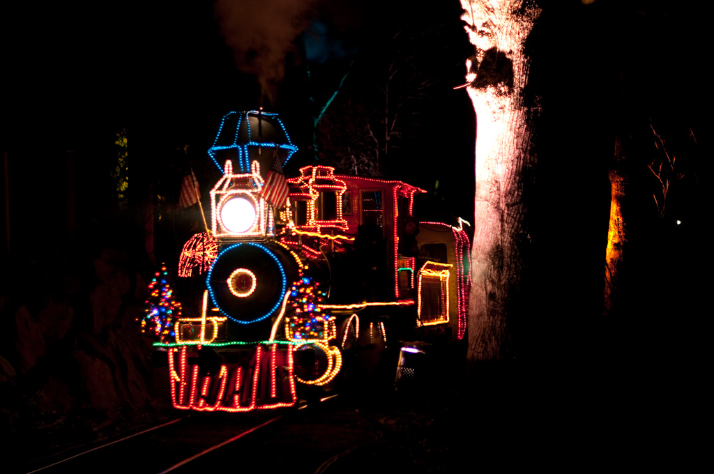 Zoolights 2009 at the Oregon Zoo