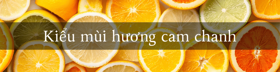 kieu-mui-huong-citrus.png